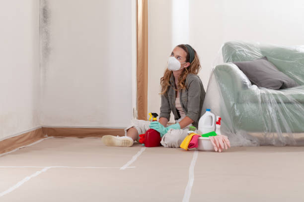 Reliable Mold Removal contractor in Marion, VA by WQB Mold Removal